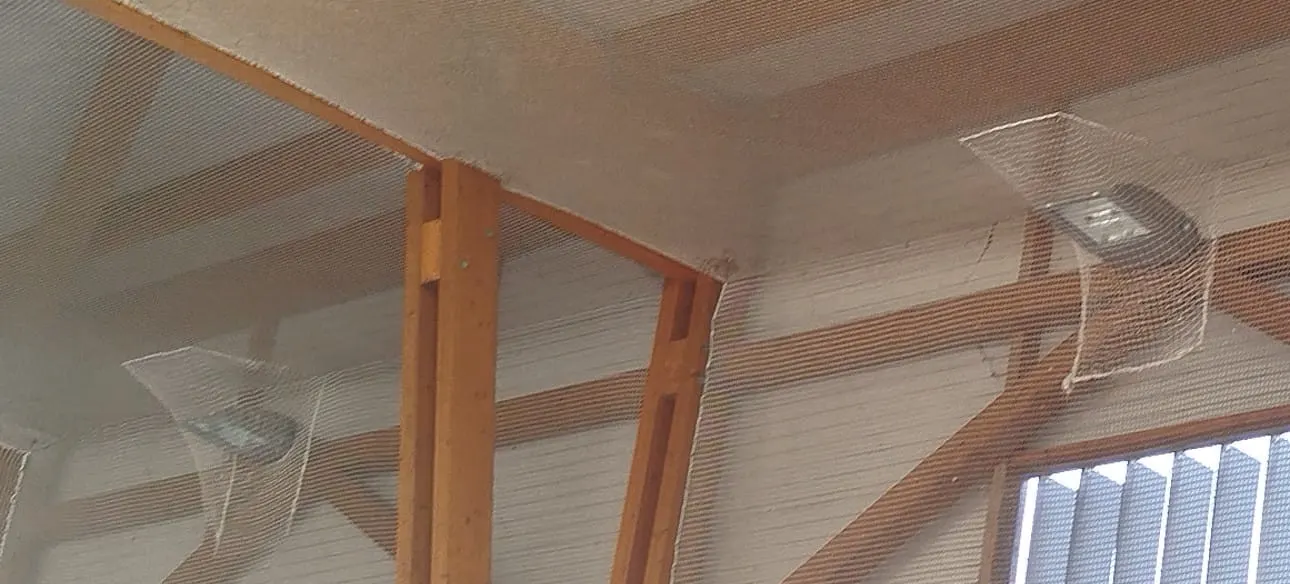 Red de protección blanca instalada en el techo de un pabellón con vigas de madera, cubriendo los focos de iluminación